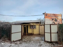 ветеринарная клиника Дарвин в Ульяновске