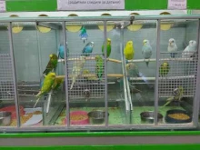 зоомагазин Любимец в Арзамасе