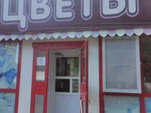 Подарочная упаковка Салон цветов и удобрений в Нижнем Новгороде