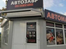 автомагазин Автозавр в Ялуторовске