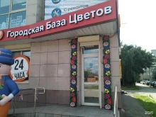 магазин Городская база цветов в Ивантеевке