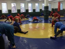 клуб спортивного и боевого самбо Витязь в Благовещенске