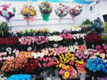 сеть цветочных салонов Жасмина в Томске