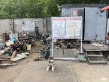 Услуги авторазбора Лом в Бийске