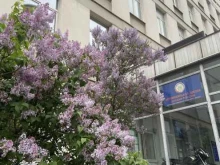 ДОСААФ России Автомобильная школа в Москве