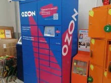 автоматизированный пункт выдачи OZON Box в Салавате