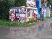 Овощи / Фрукты Киоск по продаже фруктов и овощей в Краснокамске