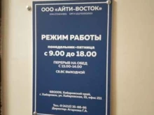 Автоматизация бизнес-процессов Айти-Восток в Хабаровске