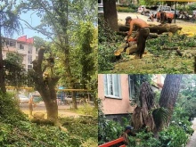 управляющая компания Доверие в Сочи