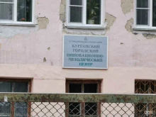 Профессиональная переподготовка / Повышение квалификации Курганский городской инновационно-методический центр в Кургане