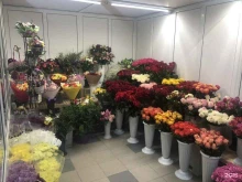 база цветов Цветочный базар в Боре