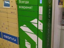 постамат СберЛогистика в Куровском
