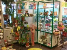 сеть цветочных салонов Цветофор в Сыктывкаре