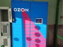 автоматизированный пункт выдачи OZON Box в Казани