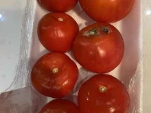 продуктовый супермаркет Солнечный круг в Ростове-на-Дону
