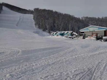 Школы Спортивная школа олимпийского резерва в Таштаголе