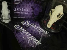 тату-салон и магазин оборудования и расходных материалов для татуировки SHATROV TATTOOS в Красноярске