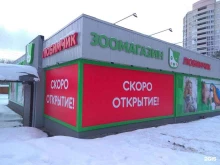 Любимчик, улица Камозина, 48 