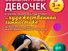 школа по художественной гимнастике Центр спортивного воспитания Олимпийских чемпионок Е.Посевиной и И.Беловой в Нижнем Новгороде