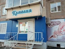продовольственный магазин Камелия в Братске