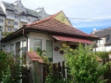 ветеринарная служба Захаров и Фарафонтова в Калининграде