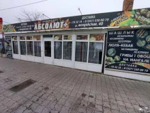 Абсолют+, Моздокская, 38в 