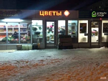 цветочный павильон Mir Flowers в Волгограде