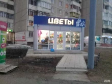 Семена / Посадочный материал Цветочный павильон в Оренбурге