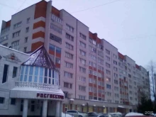 Организация и проведение квестов ZdesQuest в Чебоксарах