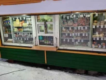 Киоск по продаже колбасных изделий и сыров, Сызранская, 7 киоск 