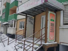 Аэлита, Шелонская, 1 