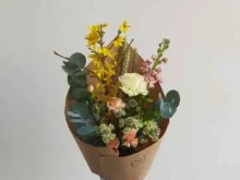 Поле, Гастелло, 25 