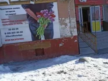 Товары для праздничного оформления / организации праздников Цветочный магазин в Тюмени