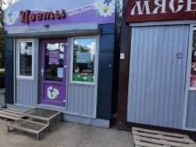 Кактус, Профинтерна, 10а 