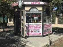 магазин Мир цветов в Махачкале