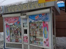 киоск по продаже мороженого Русский холодъ в Екатеринбурге