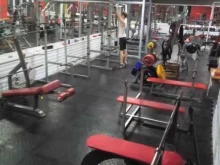 спортивный клуб Авангард в Тольятти