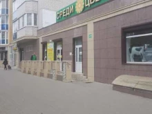 магазин товаров для дома и дачи Среди цветов-Воронеж в Воронеже