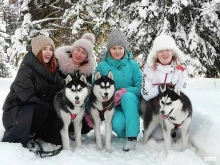 клуб Хаски в Таштаголе