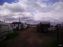 Питомники растений Компания по продаже рассады овощей и цветов в Чите