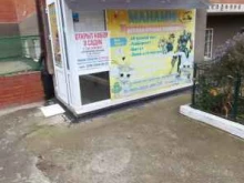 Детские сады Майями kids в Краснодаре