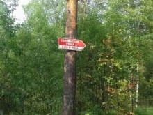 база отдыха Соловьиная роща в Нижнем Тагиле