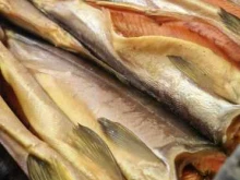 Goldfishhouse, 15-й микрорайон, 17а 