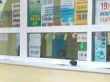 Касса по продаже билетов Пегас-Авто в Чебоксарах