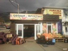 Цветы Цветы Сибири в Геленджике