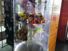 Цветы express, Минское шоссе 18 километр, ст1 