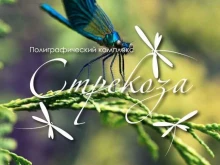 типография Стрекоза в Владивостоке