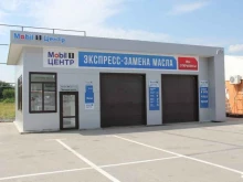 автоцентр Mobil 1 в Рязани