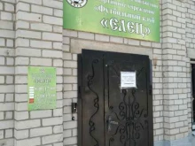 футбольный клуб Елец в Ельце