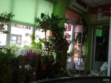магазин цветов Манго-fresh в Кисловодске